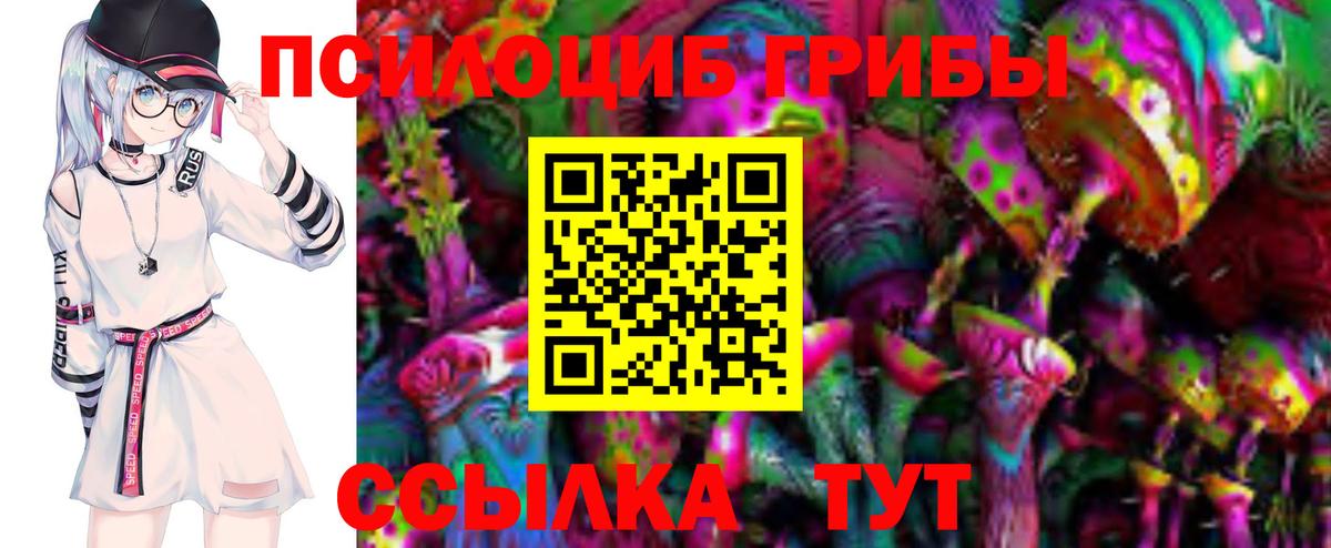 Выкса  Псилоцибиновые грибы MAGIC MUSHROOMS  Галлюциногенные грибы Psilocybe  Вход с VPN 